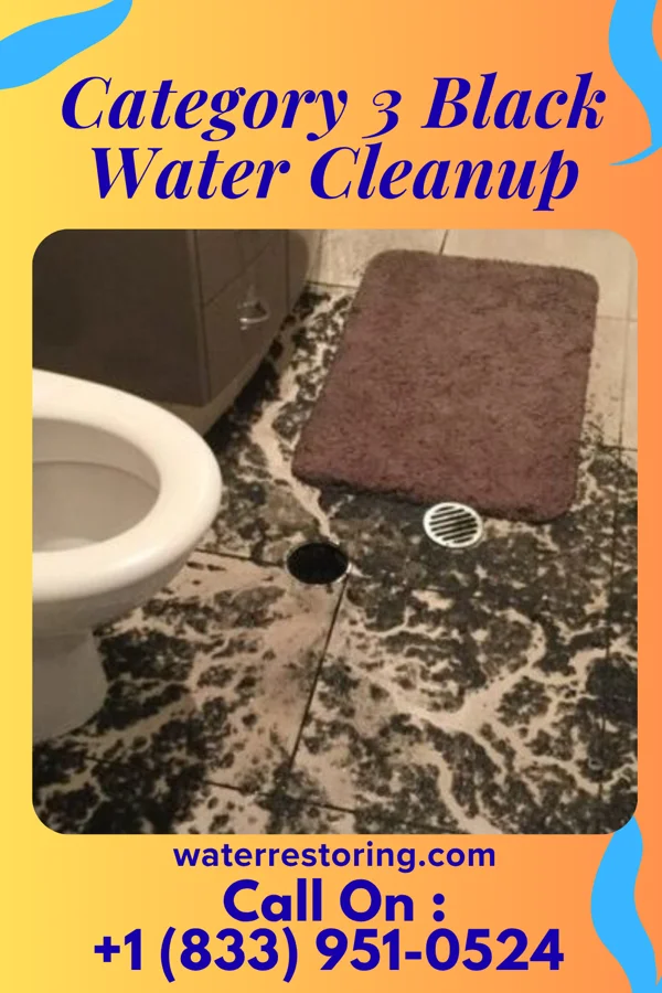 Category 3 Black Water Cleanup in Carrboro, NC